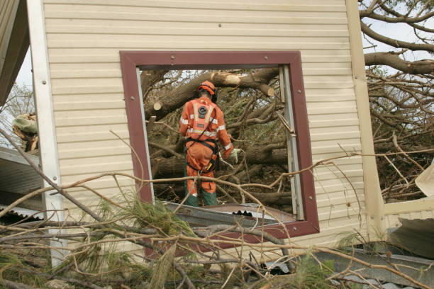How Our Tree Care Process Works  in  Riverbend, WA